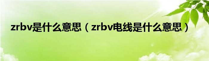 zrbv是什么意思（zrbv電線是什么意思）