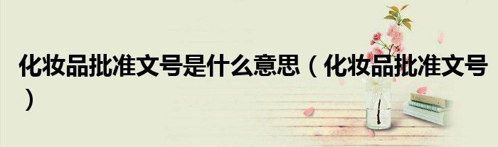 化妝品批準文號是什么意思（化妝品批準文號）