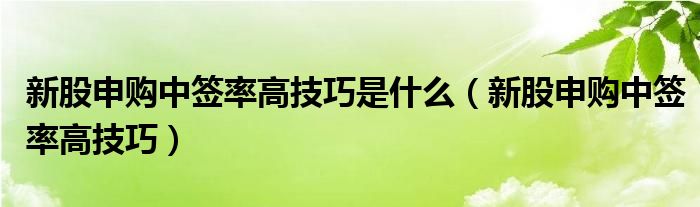 新股申購中簽率高技巧是什么（新股申購中簽率高技巧）