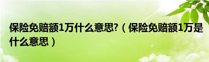 保險免賠額1萬什么意思?（保險免賠額1萬是什么意思）