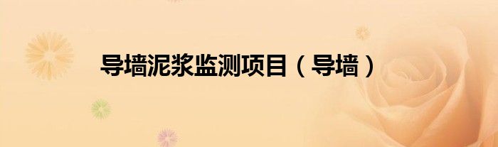 導(dǎo)墻泥漿監(jiān)測項目（導(dǎo)墻）