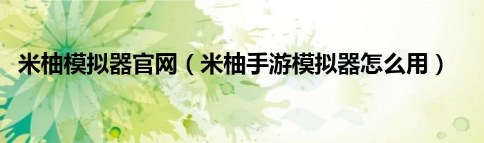 米柚模擬器官網(wǎng)（米柚手游模擬器怎么用）