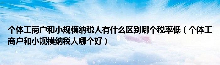 個體工商戶和小規(guī)模納稅人有什么區(qū)別哪個稅率低（個體工商戶和小規(guī)模納稅人哪個好）
