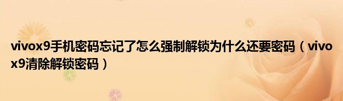 vivox9手機(jī)密碼忘記了怎么強(qiáng)制解鎖為什么還要密碼（vivox9清除解鎖密碼）