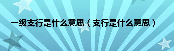一級支行是什么意思（支行是什么意思）