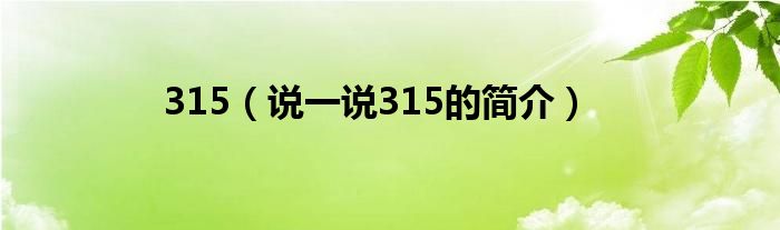 315（說一說315的簡介）