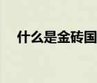 什么是金磚國家會議（什么是金磚國家）