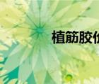 植筋膠價(jià)格表（植筋膠價(jià)格）