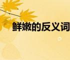 鮮嫩的反義詞是粗糙嗎（鮮嫩的反義詞）