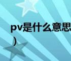 pv是什么意思（說一說pv是什么意思的簡介）