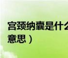 宮頸納囊是什么意思要緊嗎（宮頸納囊是什么意思）