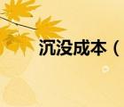沉沒成本（說(shuō)一說(shuō)沉沒成本的簡(jiǎn)介）