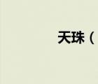 天珠（說一說天珠的簡介）