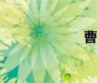 曹芳（曹芳簡(jiǎn)介）