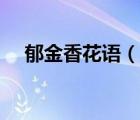 郁金香花語（說一說郁金香花語的簡介）