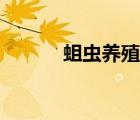 蛆蟲養(yǎng)殖技術(shù)視頻（蛆蟲養(yǎng)殖）