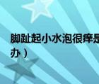 腳趾起小水泡很癢是怎么回事還脫皮（腳趾老是長水泡怎么辦）