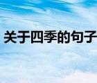關(guān)于四季的句子唯美短句（關(guān)于四季的句子）
