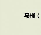 馬桶（說一說馬桶的簡(jiǎn)介）