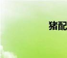 豬配種實(shí)況（配種豬）