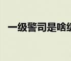 一級(jí)警司是啥級(jí)別（一級(jí)警司是什么職位）