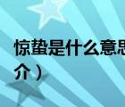 驚蟄是什么意思（說(shuō)一說(shuō)驚蟄是什么意思的簡(jiǎn)介）