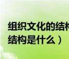 組織文化的結(jié)構(gòu)包括哪幾個(gè)層次（組織文化的結(jié)構(gòu)是什么）