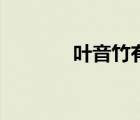 葉音竹有幾個老婆（葉音竹）