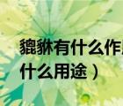 貔貅有什么作用與功效（貔貅的作用 貔貅有什么用途）