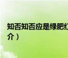 知否知否應(yīng)是綠肥紅瘦（說一說知否知否應(yīng)是綠肥紅瘦的簡介）