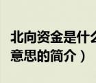 北向資金是什么意思（說一說北向資金是什么意思的簡介）