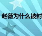 趙薇為什么被封殺知乎（趙薇為什么被封殺）