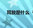耳放是什么  有什么用處（耳放是什么）