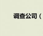 調(diào)查公司（說一說調(diào)查公司的簡介）