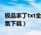 極品家丁txt全集下載筆趣閣（極品家丁txt全集下載）