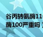 谷丙轉氨酶110谷草轉氨酶100嚴重嗎（轉氨酶100嚴重嗎）