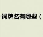 詞牌名有哪些（說一說詞牌名有哪些的簡介）