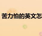 苦力怕的英文怎么寫（苦力怕的英文是什么）