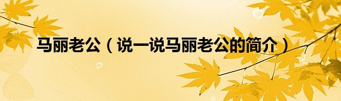 馬麗老公（說一說馬麗老公的簡介）