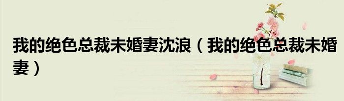 我的絕色總裁未婚妻沈浪（我的絕色總裁未婚妻）
