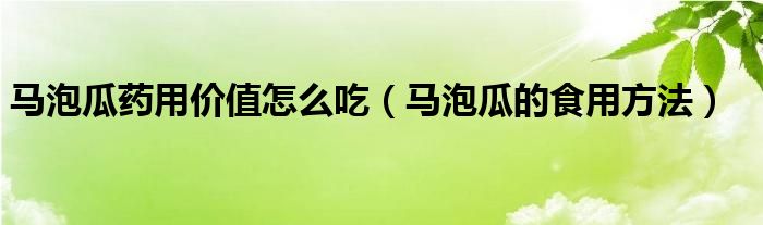 馬泡瓜藥用價值怎么吃（馬泡瓜的食用方法）