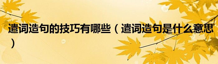 遣詞造句的技巧有哪些（遣詞造句是什么意思）