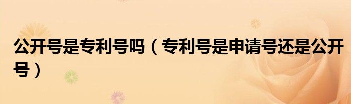 公開號(hào)是專利號(hào)嗎（專利號(hào)是申請(qǐng)?zhí)栠€是公開號(hào)）