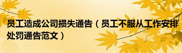 員工造成公司損失通告（員工不服從工作安排處罰通告范文）
