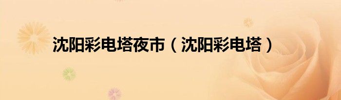 沈陽(yáng)彩電塔夜市（沈陽(yáng)彩電塔）