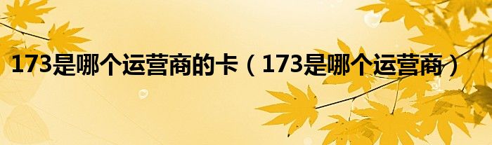 173是哪個運(yùn)營商的卡（173是哪個運(yùn)營商）