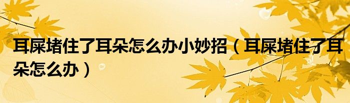 耳屎堵住了耳朵怎么辦小妙招（耳屎堵住了耳朵怎么辦）