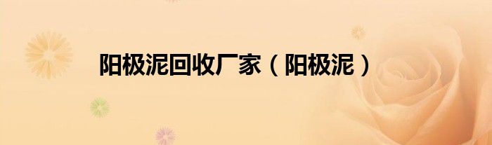 陽極泥回收廠家（陽極泥）