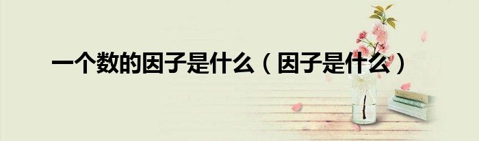 一個(gè)數(shù)的因子是什么（因子是什么）