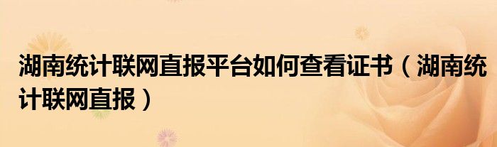 湖南統(tǒng)計聯(lián)網(wǎng)直報平臺如何查看證書（湖南統(tǒng)計聯(lián)網(wǎng)直報）